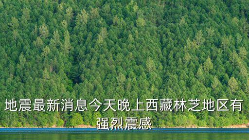 地震最新消息今天晚上西藏林芝地區(qū)有強烈震感