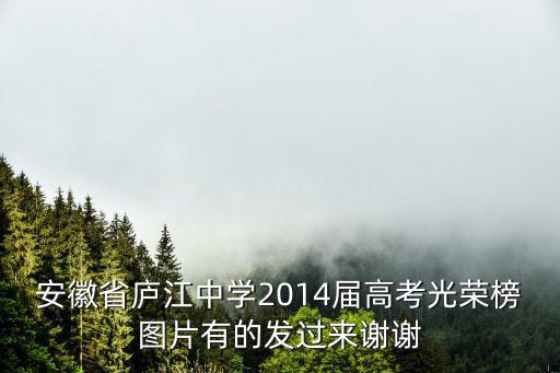 安徽省廬江中學2014屆高考光榮榜圖片有的發過來謝謝