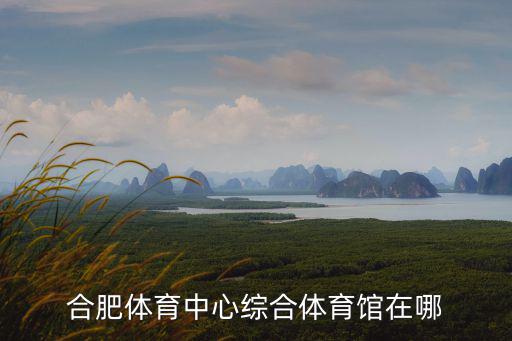 合肥體育中心綜合體育館在哪