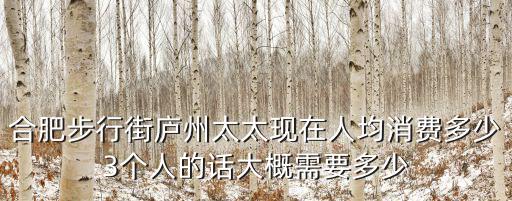 合肥步行街廬州太太現(xiàn)在人均消費(fèi)多少3個(gè)人的話大概需要多少