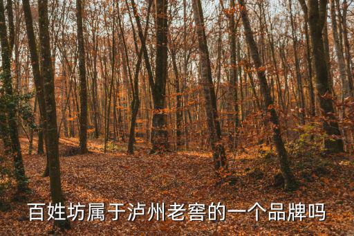 百姓坊，百姓坊的東西好不好
