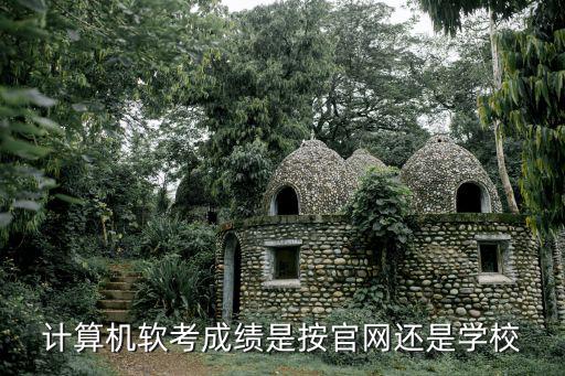 計算機軟考成績是按官網還是學校