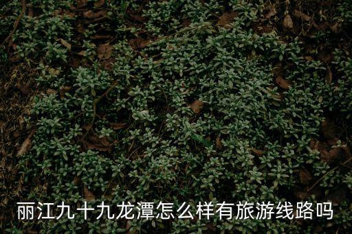 麗江九十九龍?zhí)对趺礃佑新糜尉€路嗎