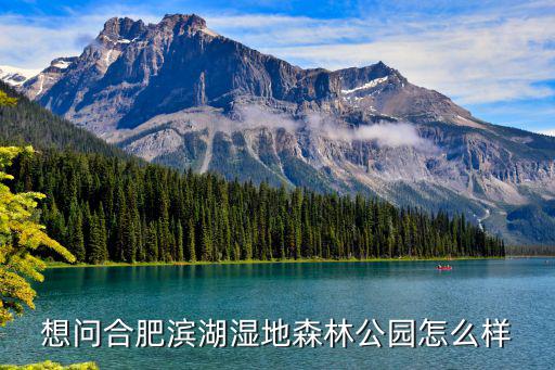 想問(wèn)合肥濱湖濕地森林公園怎么樣