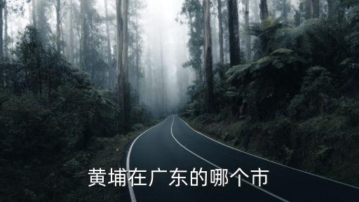 黃埔在廣東的哪個(gè)市