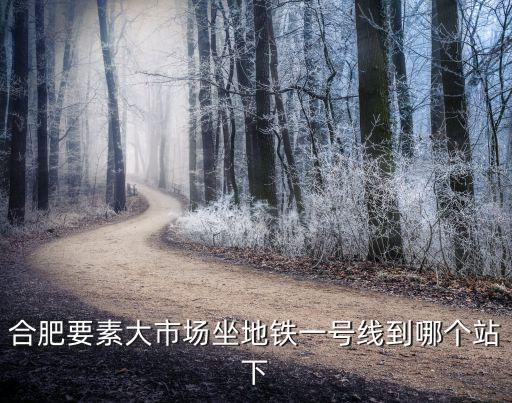 合肥要素大市場坐地鐵一號線到哪個站下
