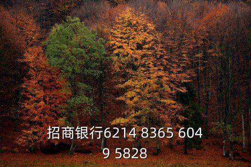 招商銀行6214 8365 6049 5828