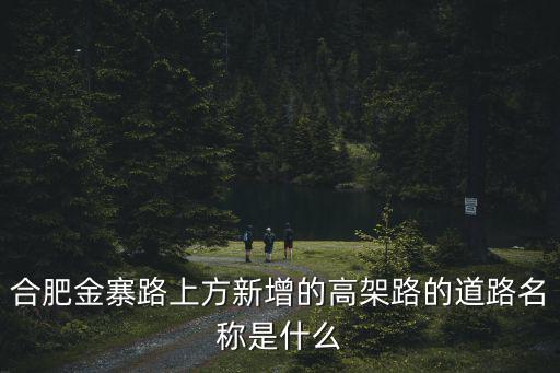 合肥金寨路高架，合肥金寨路高架是甚么方向