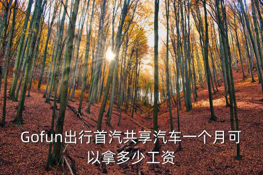 Gofun出行首汽共享汽車一個月可以拿多少工資