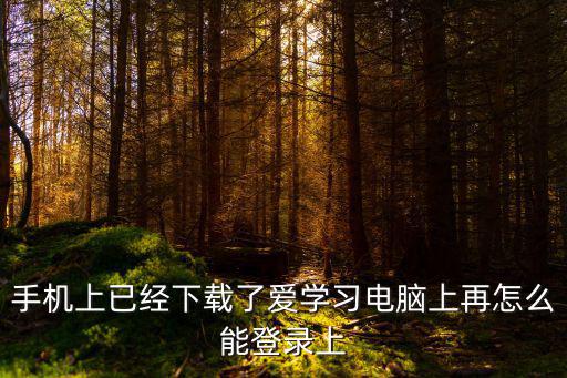 愛學(xué)習(xí)登錄，手機(jī)上已經(jīng)下載了愛學(xué)習(xí)電腦上再怎么能登錄上