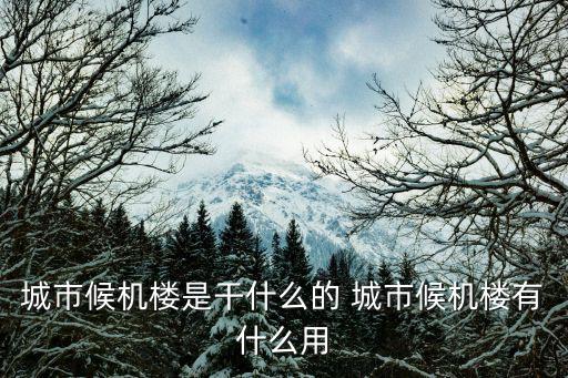 城市候機樓是干什么的 城市候機樓有什么用