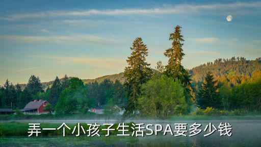 弄一個小孩子生活SPA要多少錢