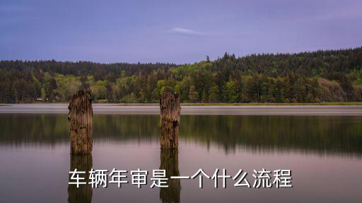 車輛年審是一個什么流程