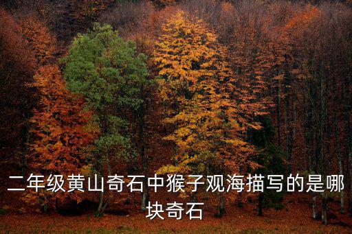 二年級黃山奇石中猴子觀海描寫的是哪塊奇石