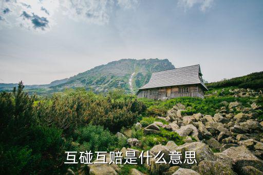 互碰互賠是什么意思