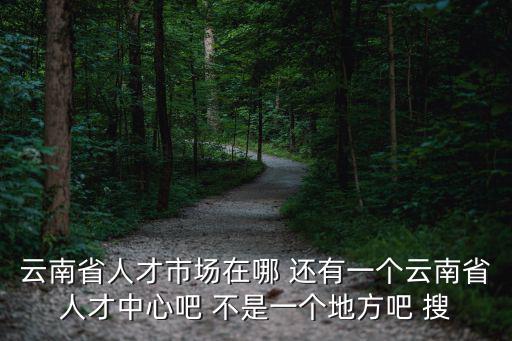 云南省人才市場在哪 還有一個云南省人才中心吧 不是一個地方吧 搜