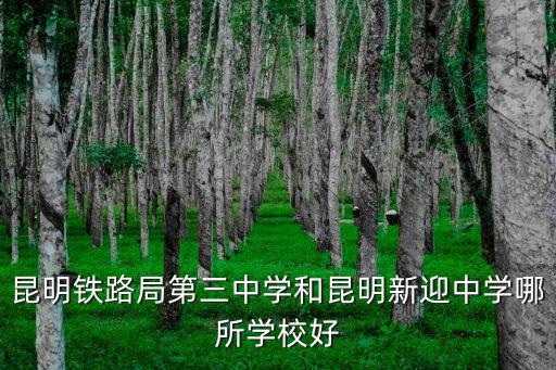 昆明鐵路局第三中學(xué)和昆明新迎中學(xué)哪所學(xué)校好