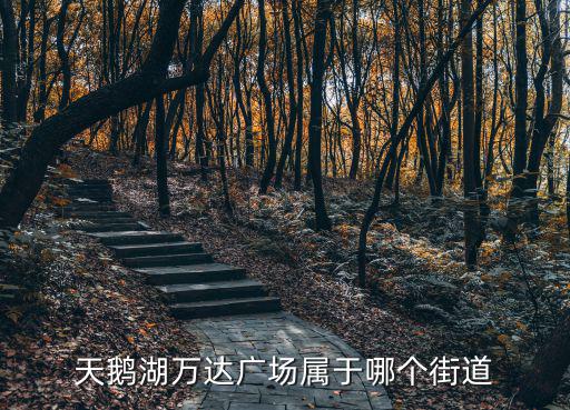 天鵝湖萬達(dá)廣場屬于哪個街道