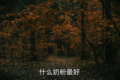 什么奶粉最好