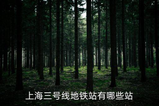 上海三號線地鐵站有哪些站