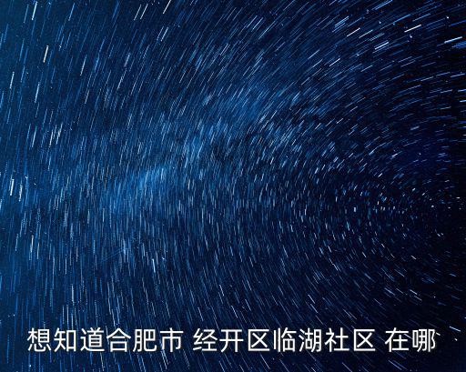 想知道合肥市 經(jīng)開區(qū)臨湖社區(qū) 在哪