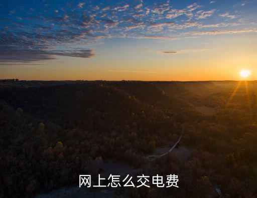 網上怎么交電費