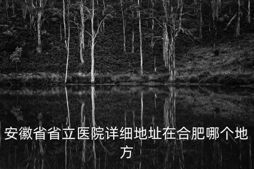 安徽省省立醫(yī)院詳細(xì)地址在合肥哪個地方