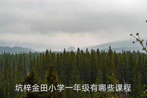 坑梓金田小學(xué)一年級(jí)有哪些課程