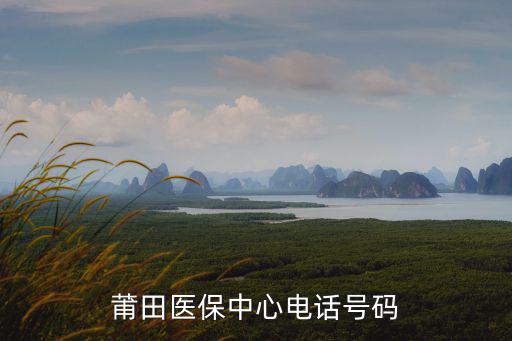 莆田醫保中心電話號碼