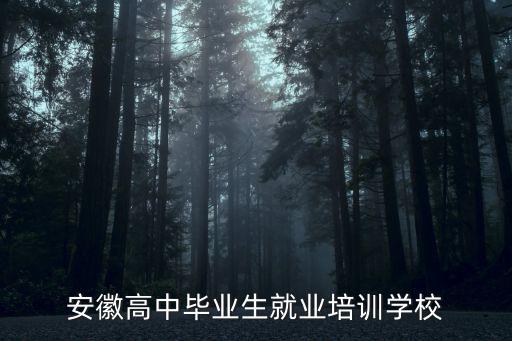 安徽高中畢業(yè)生就業(yè)培訓(xùn)學(xué)校