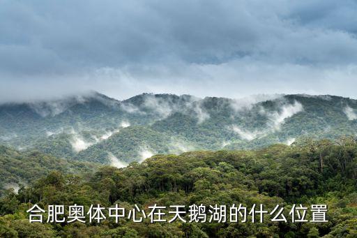 合肥奧體中心，合肥奧體中心在天鵝湖的什么位置