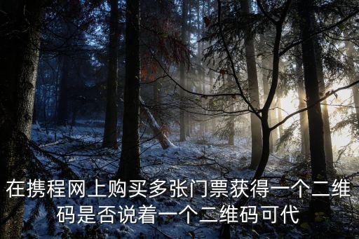 在攜程網上購買多張門票獲得一個二維碼是否說著一個二維碼可代