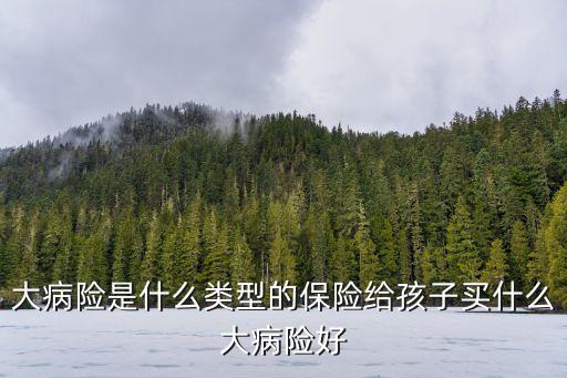 大病險(xiǎn)是什么類型的保險(xiǎn)給孩子買什么大病險(xiǎn)好