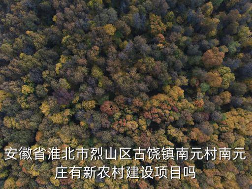 安徽省淮北市烈山區古饒鎮南元村南元莊有新農村建設項目嗎