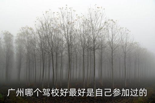 廣州哪個(gè)駕校好最好是自己參加過(guò)的
