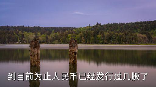 到目前為止人民幣已經發行過幾版了