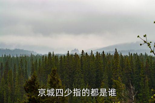 京城四少指的都是誰(shuí)