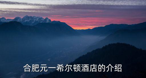 合肥元一希爾頓酒店的介紹