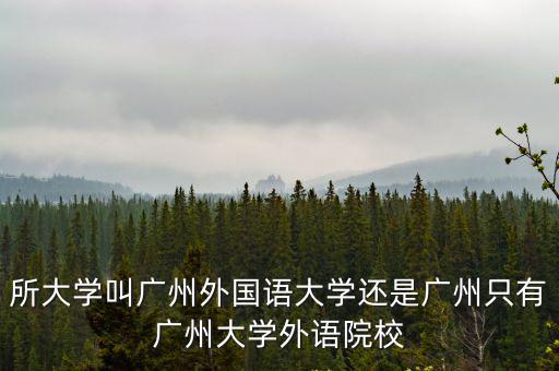 廣州大學外國語學院，華農外國語學院與廣州大學外國語學院哪個好
