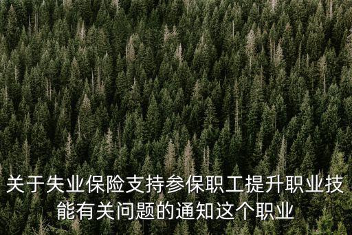 職業技能提升補貼，關于失業保險支持參保職工提升職業技能有關問題的通知這個職業