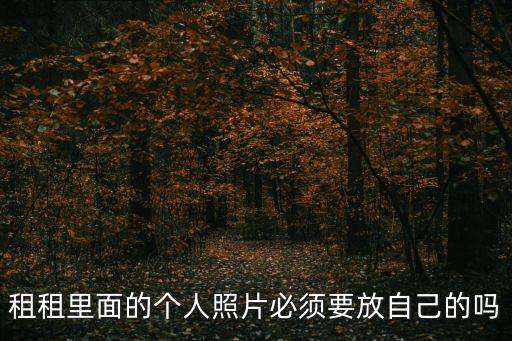 租租里面的個(gè)人照片必須要放自己的嗎