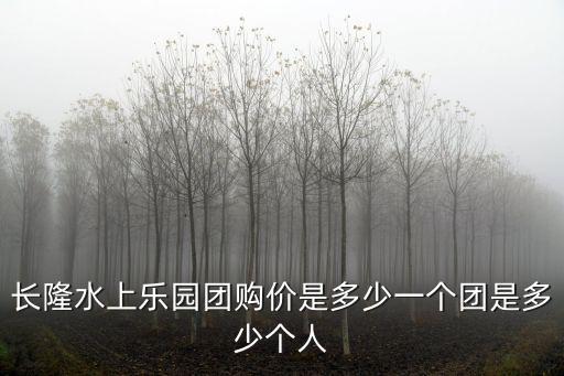 長隆水上樂園團購價是多少一個團是多少個人