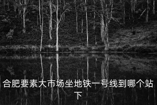 合肥要素大市場坐地鐵一號線到哪個站下