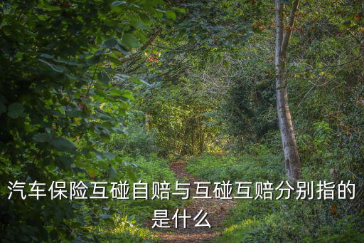 汽車保險互碰自賠與互碰互賠分別指的是什么