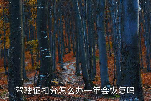 駕駛證扣分怎么辦一年會恢復嗎