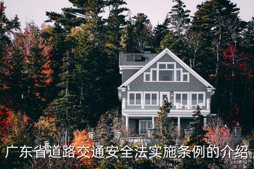 廣東省道路交通安全法實施條例的介紹