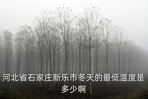 河北省石家莊新樂(lè)市冬天的最低溫度是多少啊