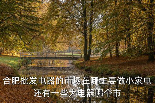 合肥批發(fā)電器的市場在哪主要做小家電還有一些大電器哪個市