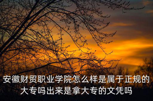 合肥財貿職業學院，安徽財貿職業學院難考嗎