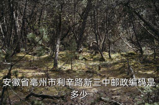 安徽省亳州市利辛路新三中郵政編碼是多少